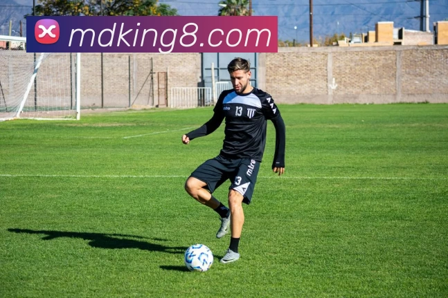 摩登娱乐官网平台生态图